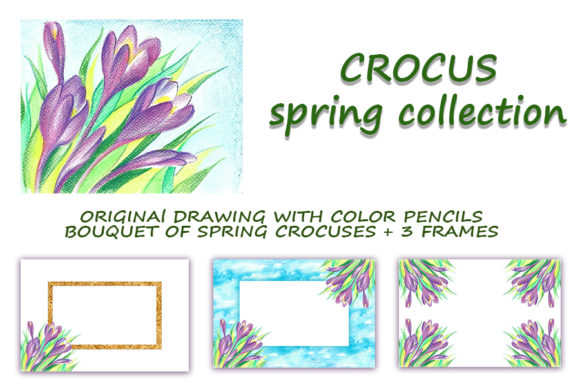 Crocus Spring Collection: Hand-Drawn Floral Assets