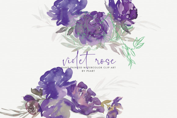 Elevating Design with Hand-Painted Watercolor Violet Rose Clipart