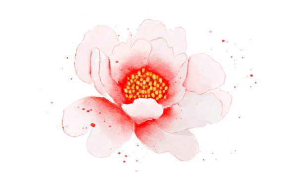 Evaluating Pink Flower Watercolor Realistic Assets for Professional Design Projects