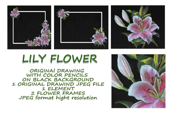 Lily at Night: Evaluating a Hand-Drawn Colored Pencil Asset Set