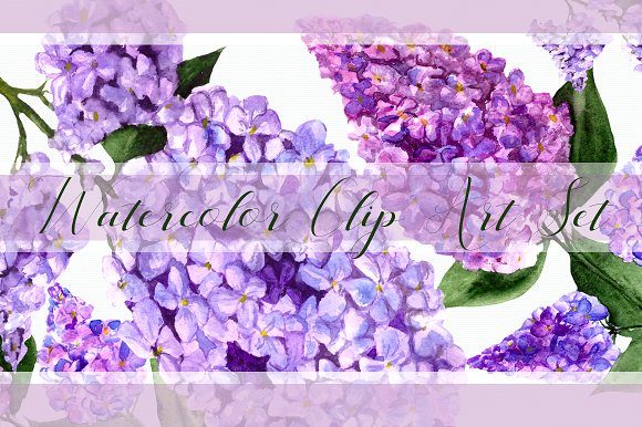 Watercolor Lilac Flowers Clipart Set: Elevating Digital Design with Hand-Painted Botanicals