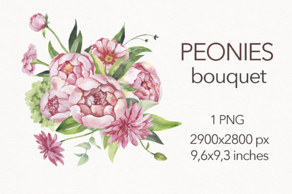 Watercolor Peonies Bouquet Clipart for Design