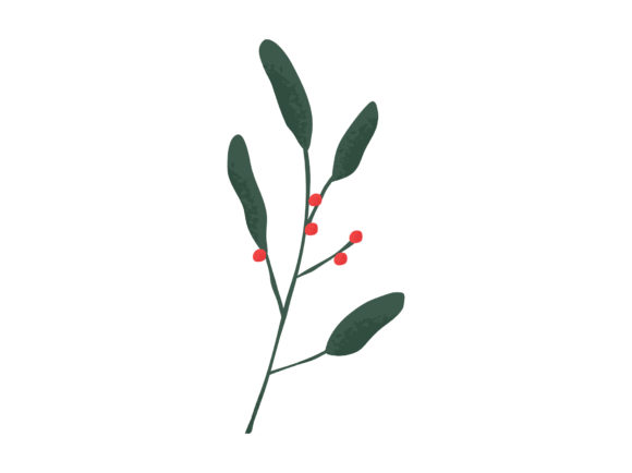 Winter Leaves Holly Branches Red Berries: Elevating Seasonal Design with Versatile Vector Assets